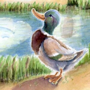 Plakater med børnesange