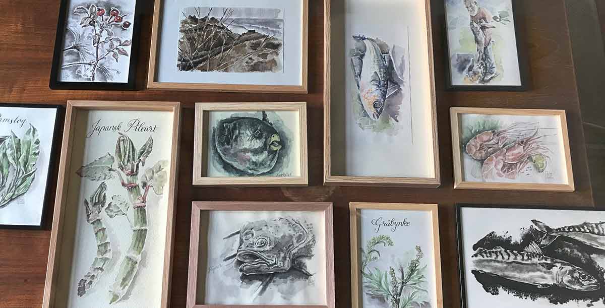 Fiske – illustrationer