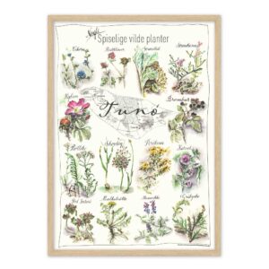 Planteplakat-Tunø