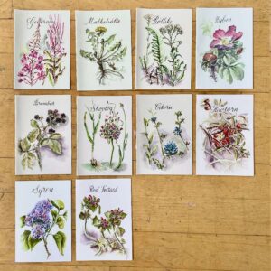 Gavekort med vilde planter