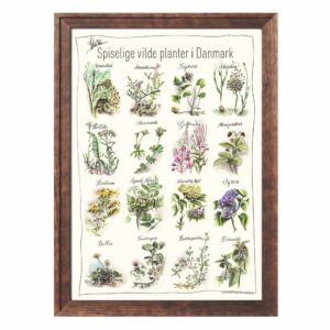 Spiselige planter nr2 - plakat