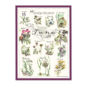 Tunø spiselig vilde plante plakat