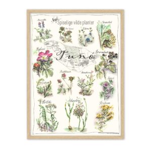 Tunø spiselig vilde plante plakat