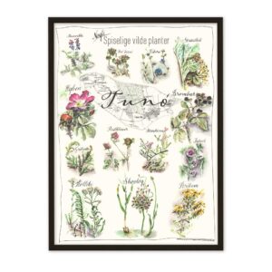 Tunø spiselig vilde plante plakat