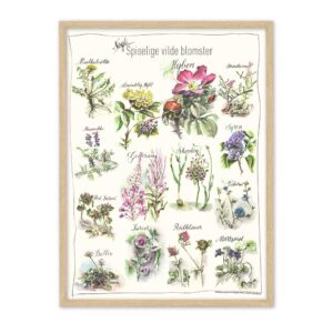 Spiselige vilde planter plakat