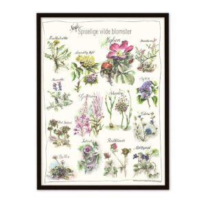 Spiselige vilde planter plakat