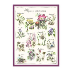 Spiselige vilde planter plakat