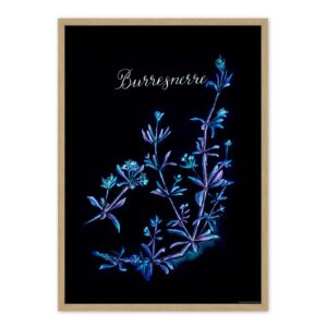 Burresnerre