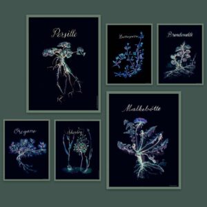 Spiselige vilde planter