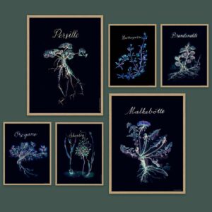 Spiselige vilde planter