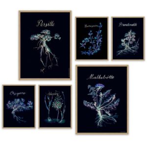 Spiselige vilde planter