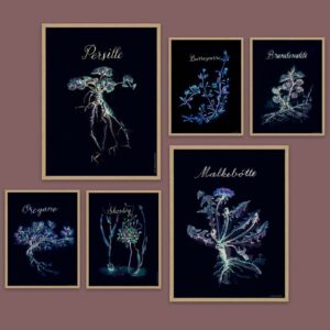 Spiselige vilde planter