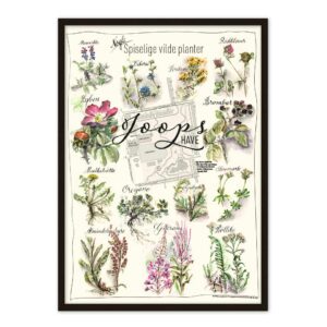 Joops Have i Gellerup