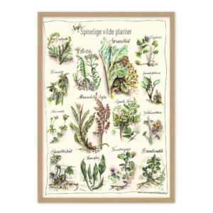 Spiselige Vilde Planter